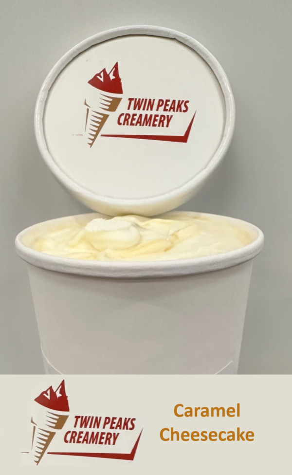 Twin Peaks Ice Cream - Caramel Cheesecake